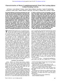 Characterization of Mouse Lymphohematopoietic Stem Cells