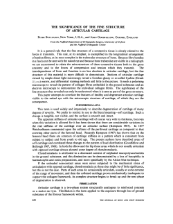 the significance of fine structure of articular cartilage