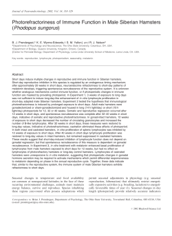 Photorefractoriness of Immune Function in Male Siberian Hamsters
