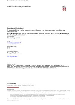 EasyClone-MarkerFree A vector toolkit for marker