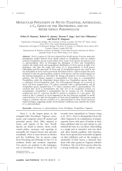 Porophyllum - Integrative Biology - The University of Texas at Austin