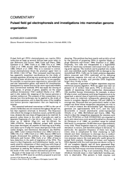 Pulsed field gel electrophoresis and investigations into mammalian