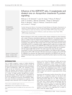 Influence of the ADP/ATP ratio, 2-oxoglutarate and