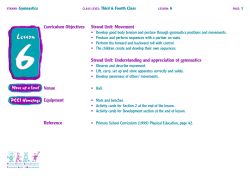 Curriculum Objectives Strand Unit