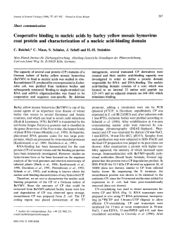 Cooperative binding to nucleic acids by barley yellow mosaic