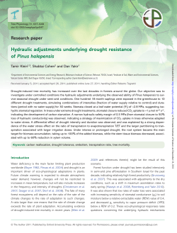 Klein et al 2011 pine drought resistance