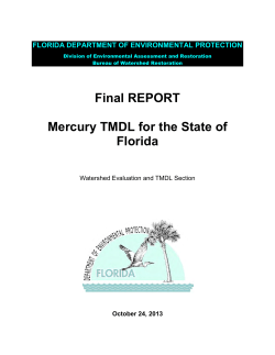 Mercury TMDL for the State of Florida