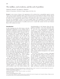 The midline, oral ectoderm, and the arch-0 problem