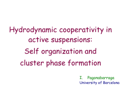 Hydrodynamic cooperativity in active suspensions