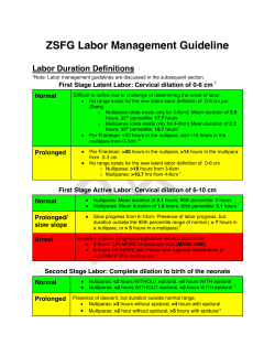 ZSFG Labor Management Guideline