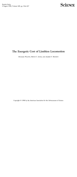 The Energetic Cost of Limbless Locomotion