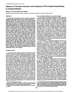 Influence of Chromatin Structure on the Induction of DNA Double