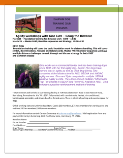 Going the Distance - Dauphin Dog Training Club
