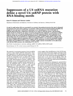 Suppressors of a U4 snRNA mutation define a novel U6 snRNP