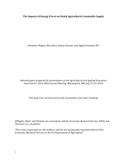 1 The Impacts of Energy Prices on Global
