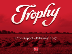 Crop Report &ndash;February 2017