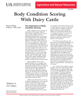 Body Condition Scoring With Dairy Cattle - FSA4008