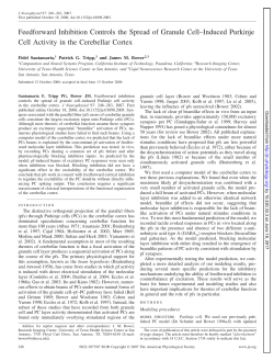 Feedforward Inhibition Controls the Spread of Granule Cell&ndash;Induced