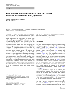 Duet structure provides information about pair identity in the red