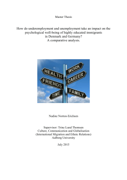 Master Thesis Nadine Norton