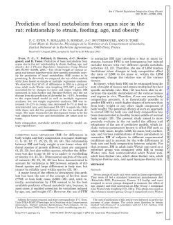 Prediction of basal metabolism from organ size in the rat