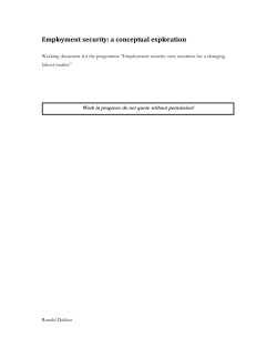Employment security: a conceptual exploration