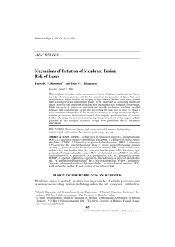 Mechanisms of Initiation of Membrane Fusion: Role of Lipids