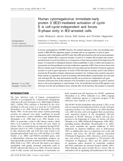 (IE2)-mediated activation of cyclin E is cell-cycle