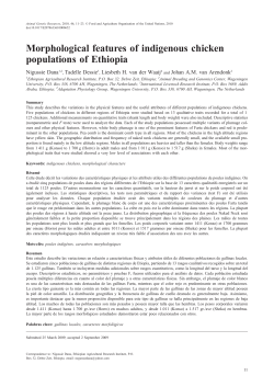 Morphological features of indigenous chicken populations of Ethiopia
