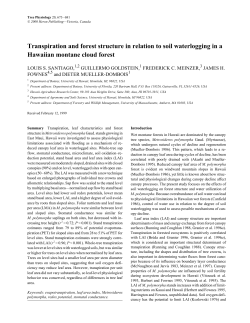 Transpiration and forest structure in relation to soil