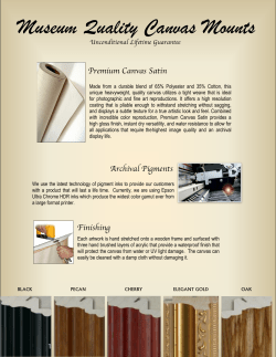 Museum Quality Canvas Mounts