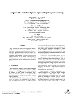 Computer-aided evaluation of protein expression in pathological