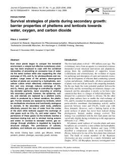 Survival strategies of plants during secondary
