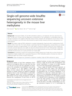 Single-cell genome-wide bisulfite sequencing uncovers extensive