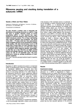 eukaryotic mRNA - Walter Lab - University of California, San Francisco
