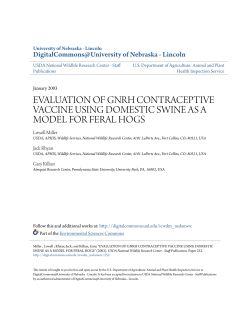 evaluation of gnrh contraceptive vaccine using domestic swine as a