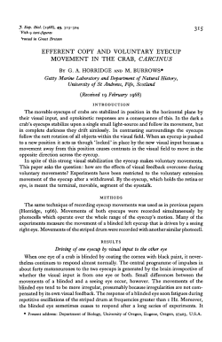 efferent copy and voluntary eyecup movement in the