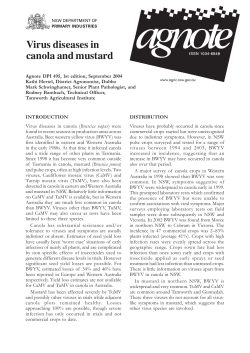 DPI NSW - Virus diseases in Canola and Mustard