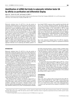 Identification of mRNA that binds to eukaryotic initiation factor 5A by