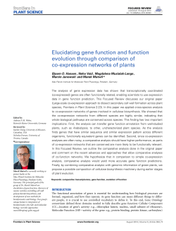 Elucidating gene function and function evolution through