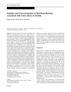 Isolation and Characterization of Beneficial Bacteria Associated with
