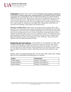 Seeding Rates: Producers need to keep in mind that Optimum wheat