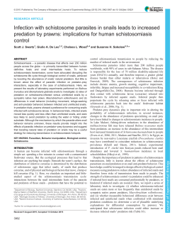 Infection with schistosome parasites in snails leads to increased