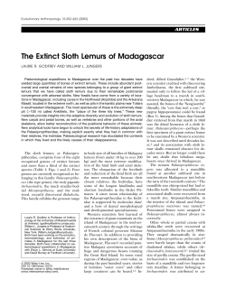 The Extinct Sloth Lemurs of Madagascar