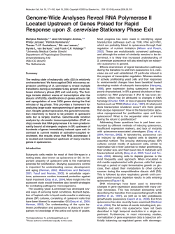 Genome-Wide Analyses Reveal RNA Polymerase II