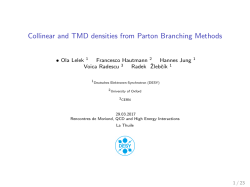 Collinear and TMD densities from Parton Branching Methods