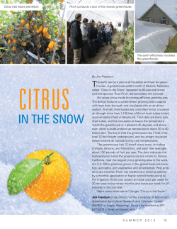 Citrus in the Snow - University of Wyoming