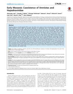 Early Mesozoic Coexistence of Amniotes and Hepadnaviridae