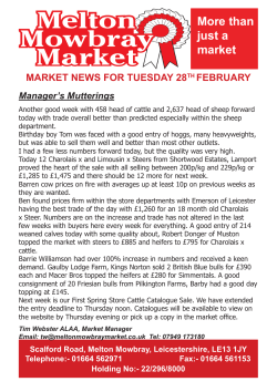 2 MB 1st Mar 2017 Market Report 28th February 2017