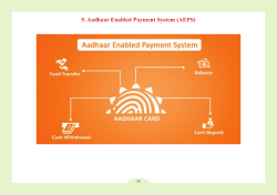 5. Aadhaar Enabled Payment System (AEPS)